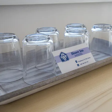 Bloom Hostel *